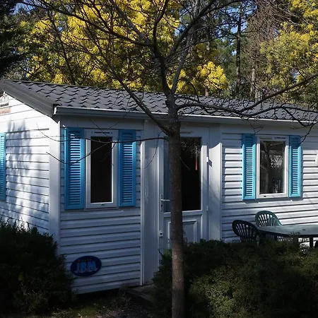 Nature ארסשון