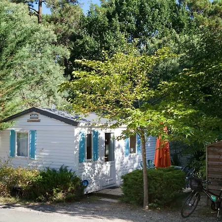 אתר קמפינג Nature